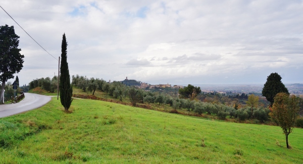 San Miniato seen from nearby hillside. Photo: Clare Speak/The Local